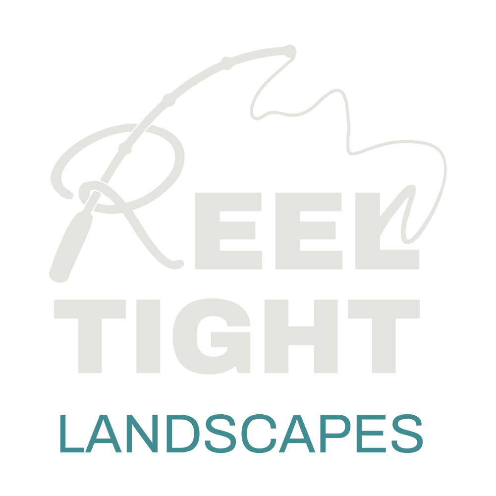 reel tight landscapes